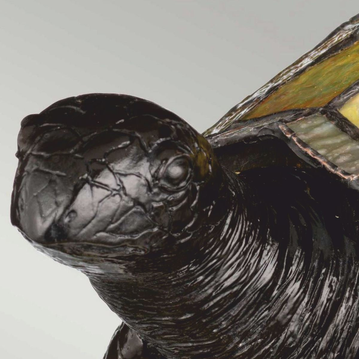 Luxus Tiffany LED Tischleuchte Schildkröte Bunt / Vintage Bronze